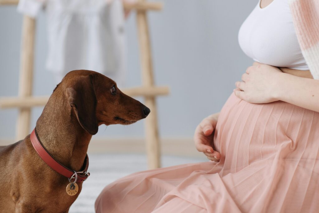 Looking back, I realize I focused on all the cute, visible parts of motherhood. The nursery decor, the registry, the name reveal.